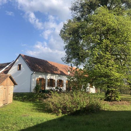 Apartament Sonnenhof Limbach im Burgenland Zewnętrze zdjęcie